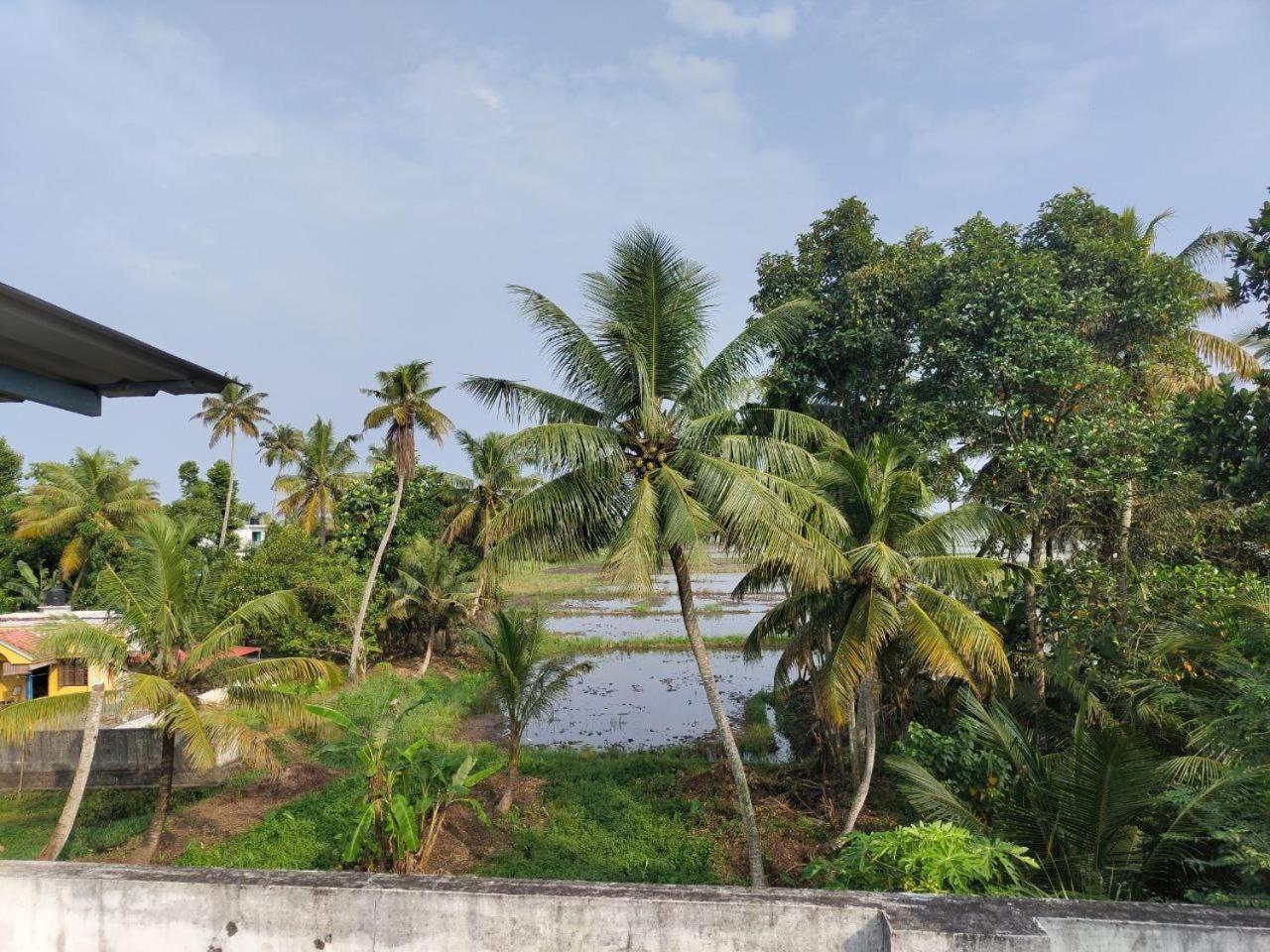 Paddy N Canal Homestay Alappuzha Exteriör bild