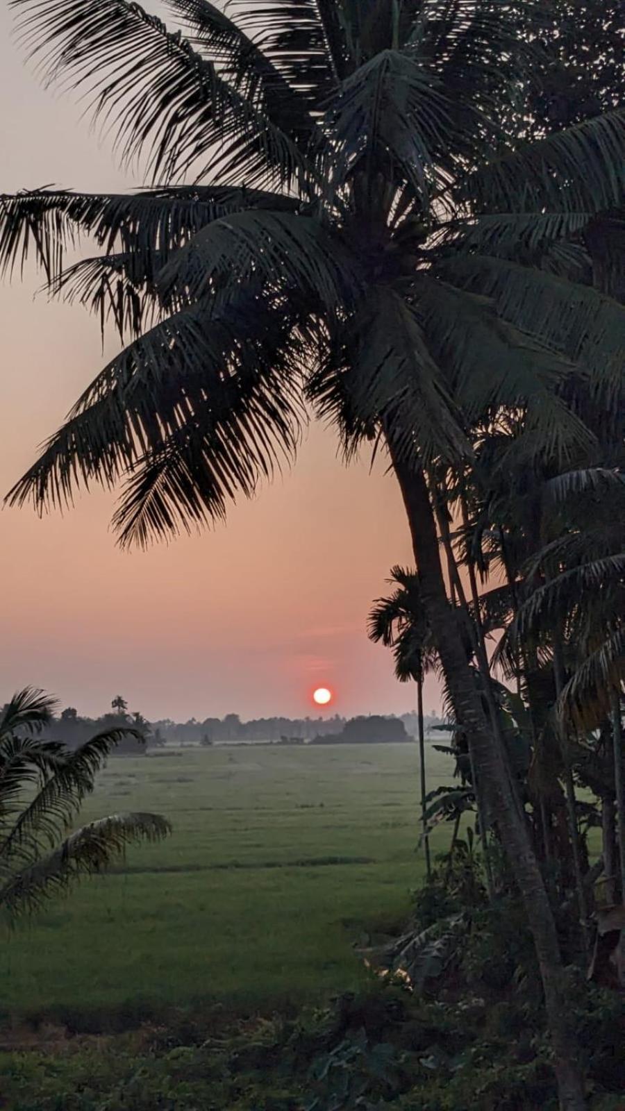 Paddy N Canal Homestay Alappuzha Exteriör bild